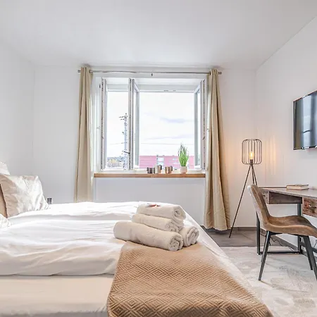 Elegant & Air Condition 5br - By The Danube River Apartment Krems an der Donau